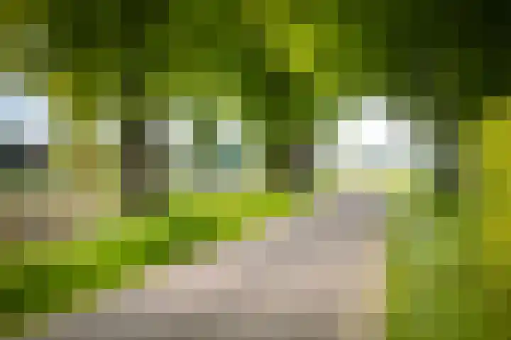 Weeleweg 12 a Heeten thumbnail 53