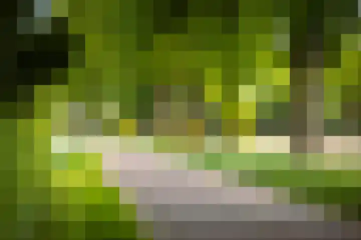 Weeleweg 12 a Heeten thumbnail 55