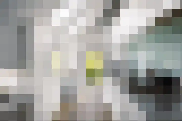 Weeleweg 12 a Heeten thumbnail 8
