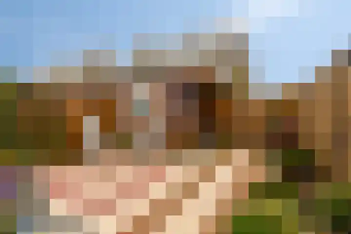 Weelhoekstraat 38 Oud-Vossemeer thumbnail 21