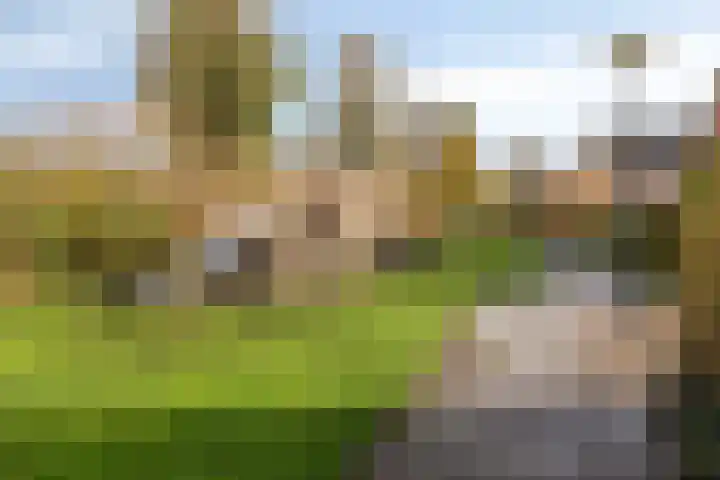 Weelhoekstraat 38 Oud-Vossemeer thumbnail 62