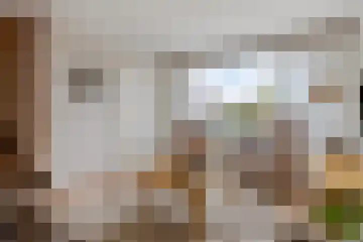 Weelhoekstraat 38 Oud-Vossemeer thumbnail 7