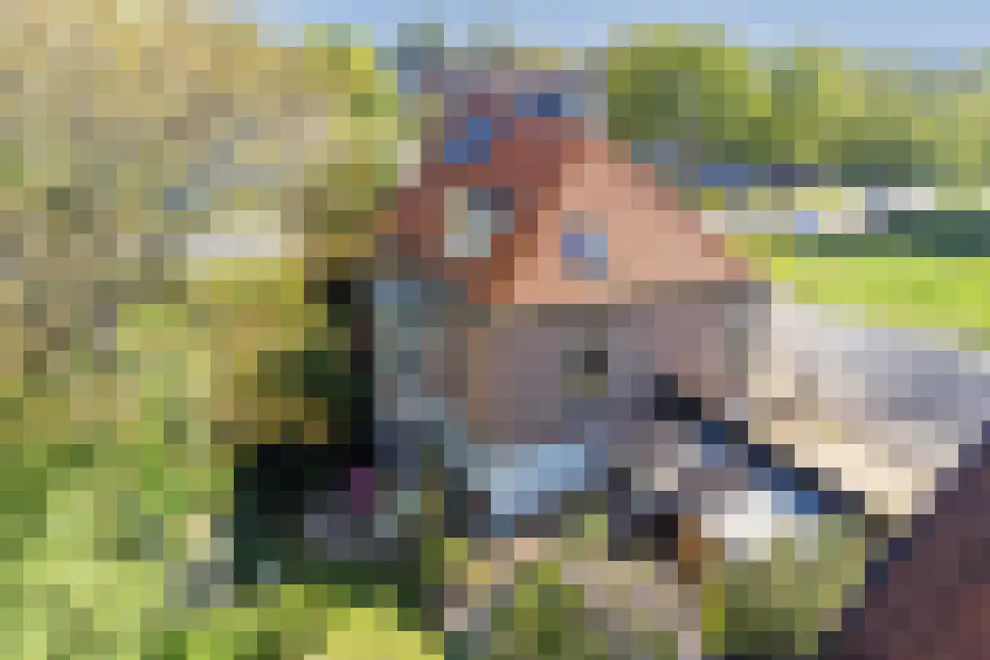 Weelsedijk 10 Strijen