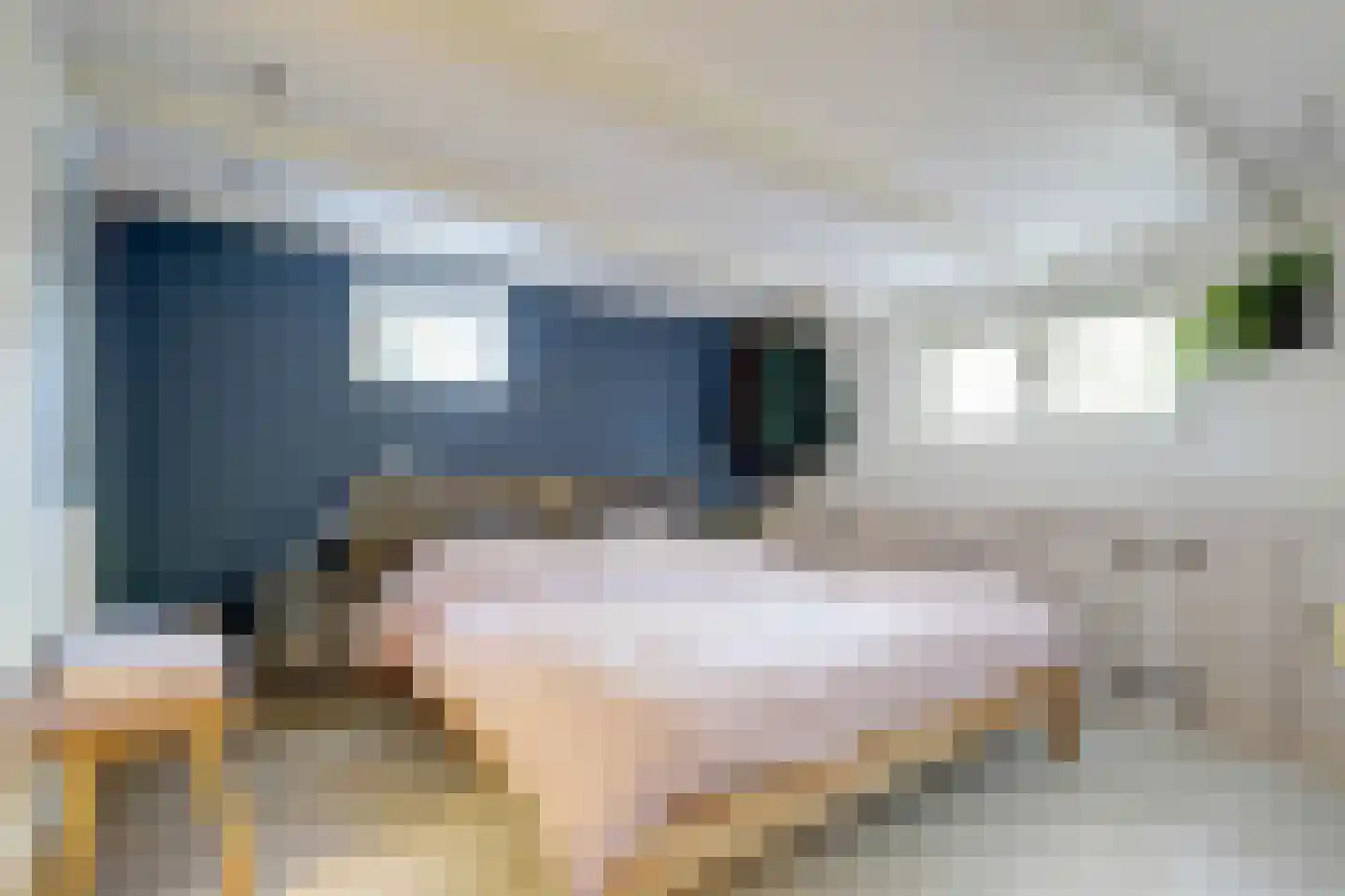 Weelsedijk 10 Strijen thumbnail 30
