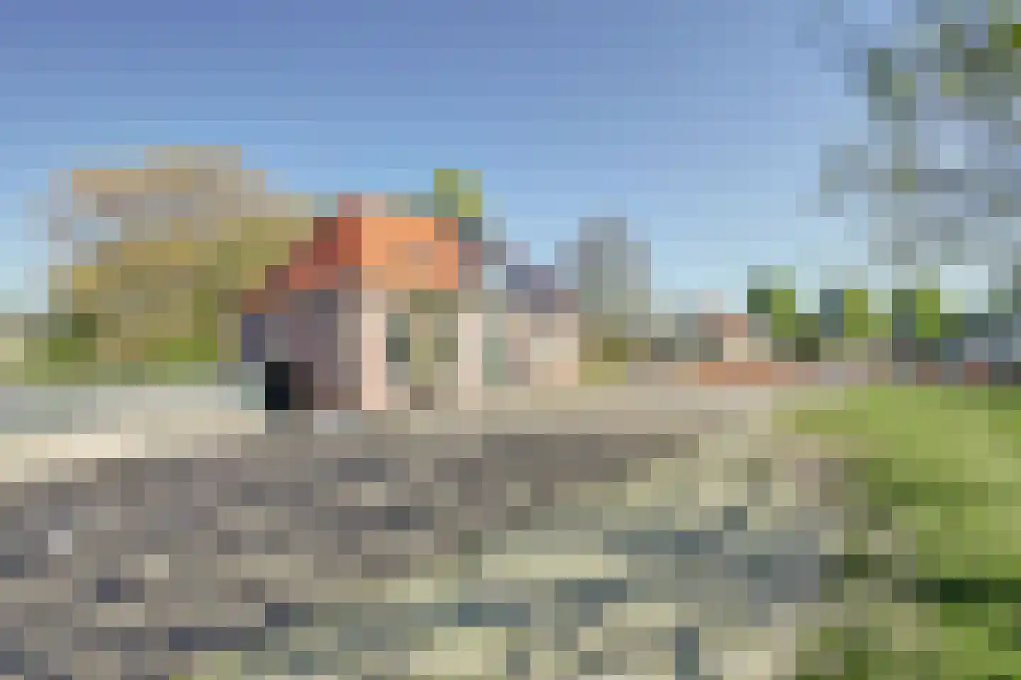 Weelsedijk 10 Strijen thumbnail 37
