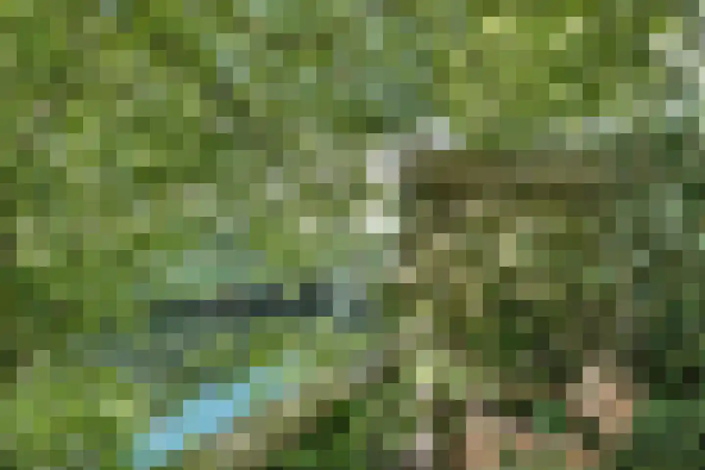 Weelsedijk 10 Strijen thumbnail 39