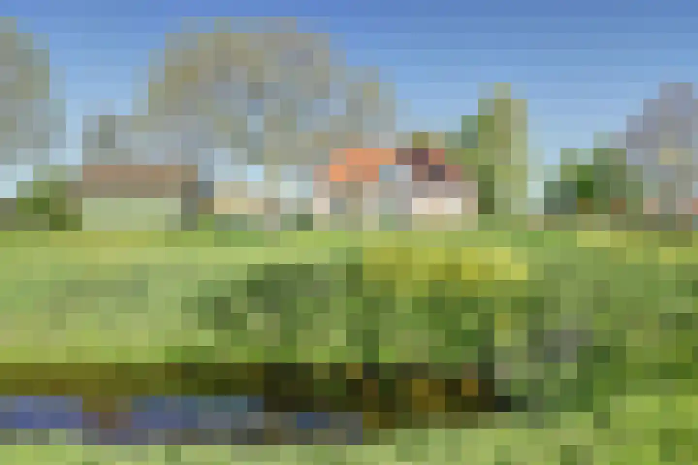 Weelsedijk 10 Strijen thumbnail 4