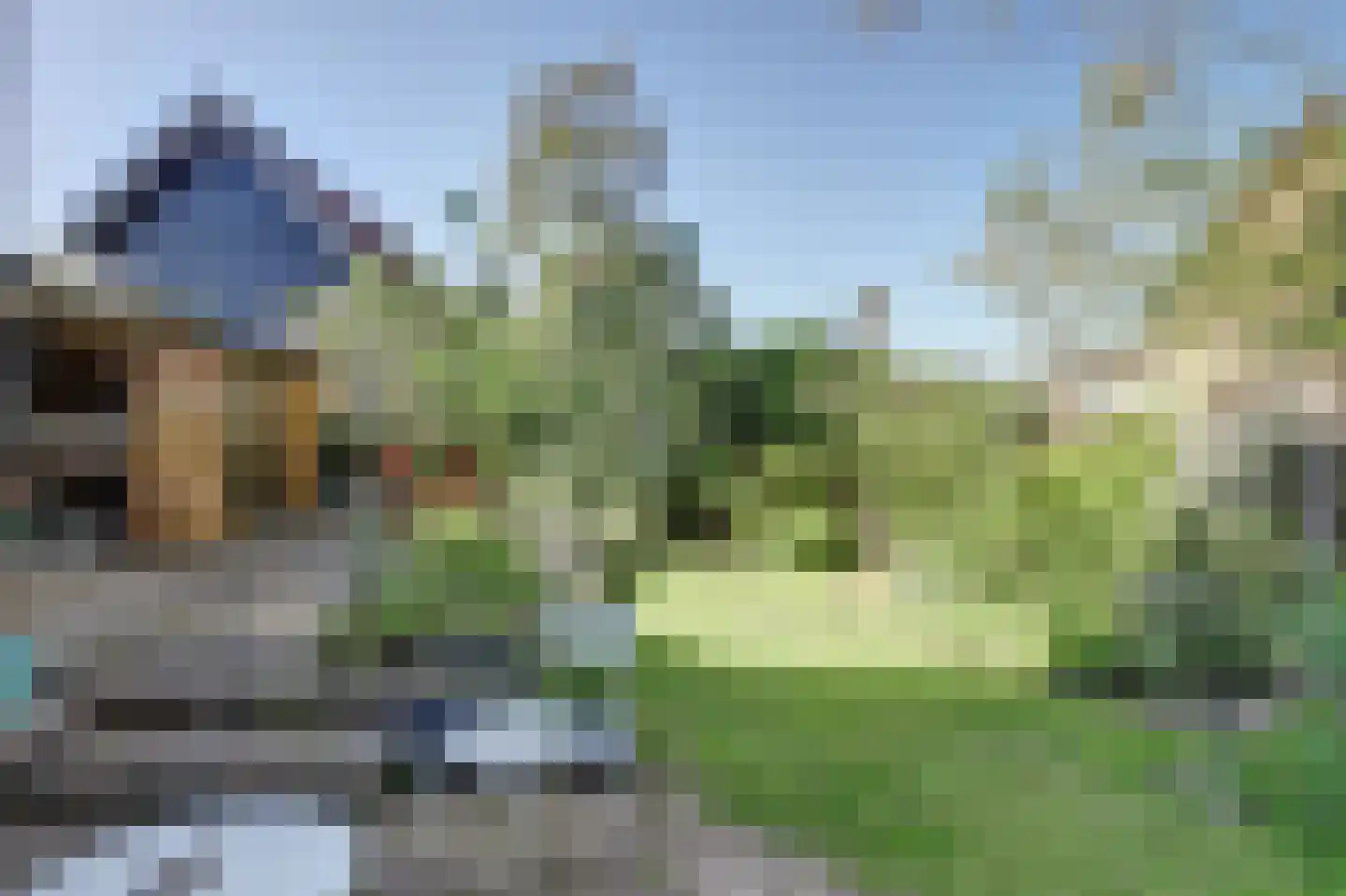 Weelsedijk 10 Strijen thumbnail 42