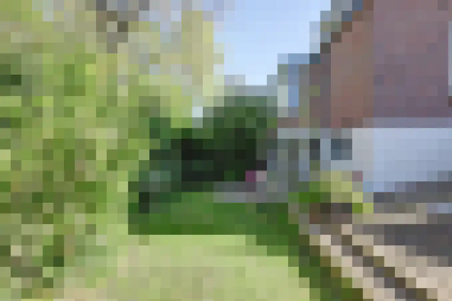 Weelsedijk 10 Strijen thumbnail 43