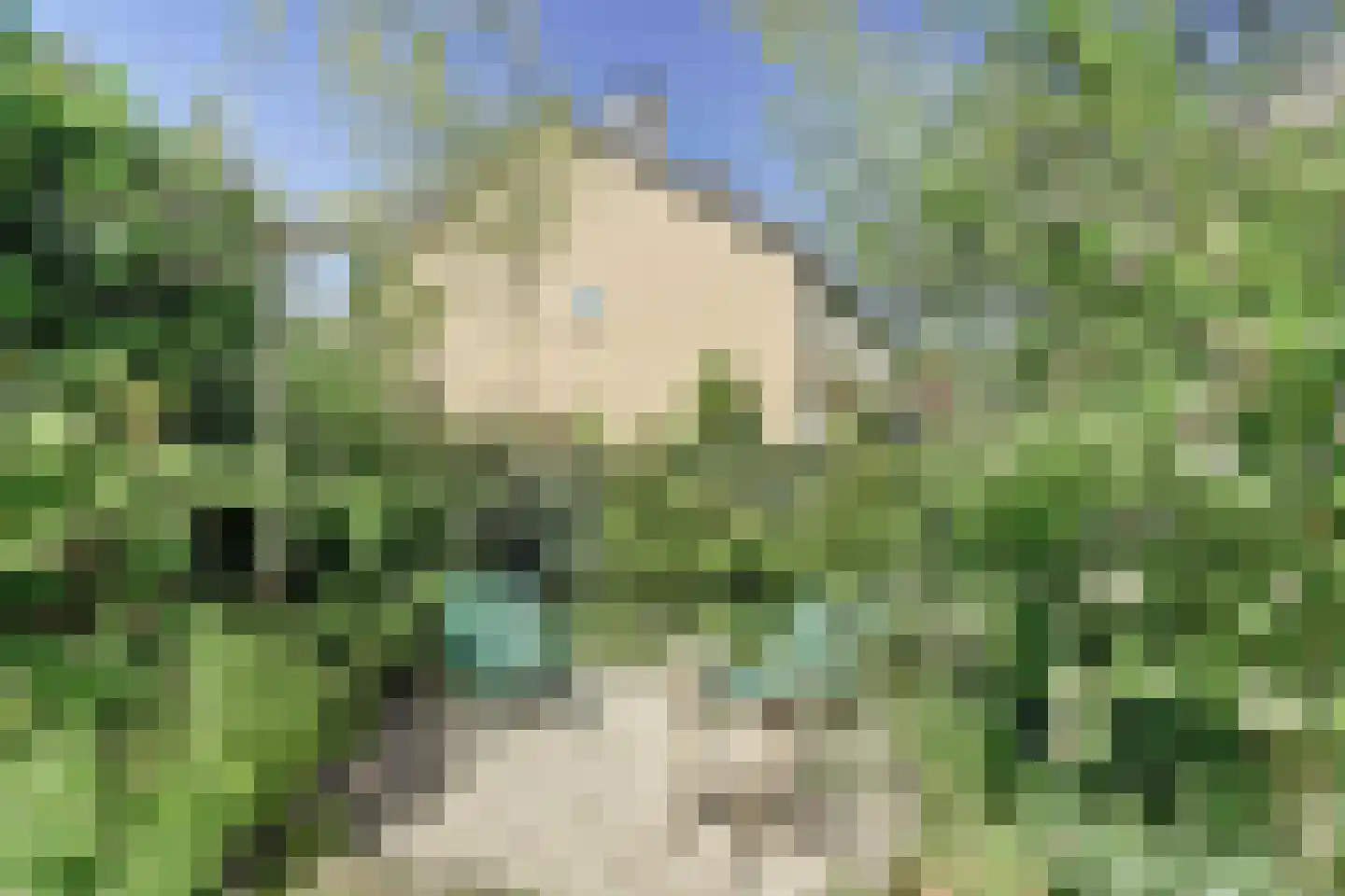 Weelsedijk 10 Strijen thumbnail 44