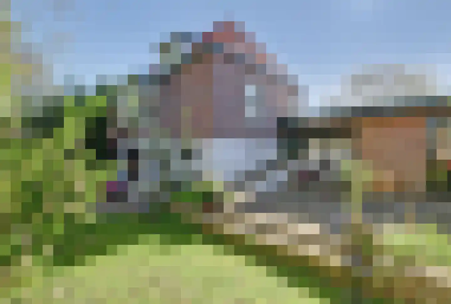 Weelsedijk 10 Strijen thumbnail 49