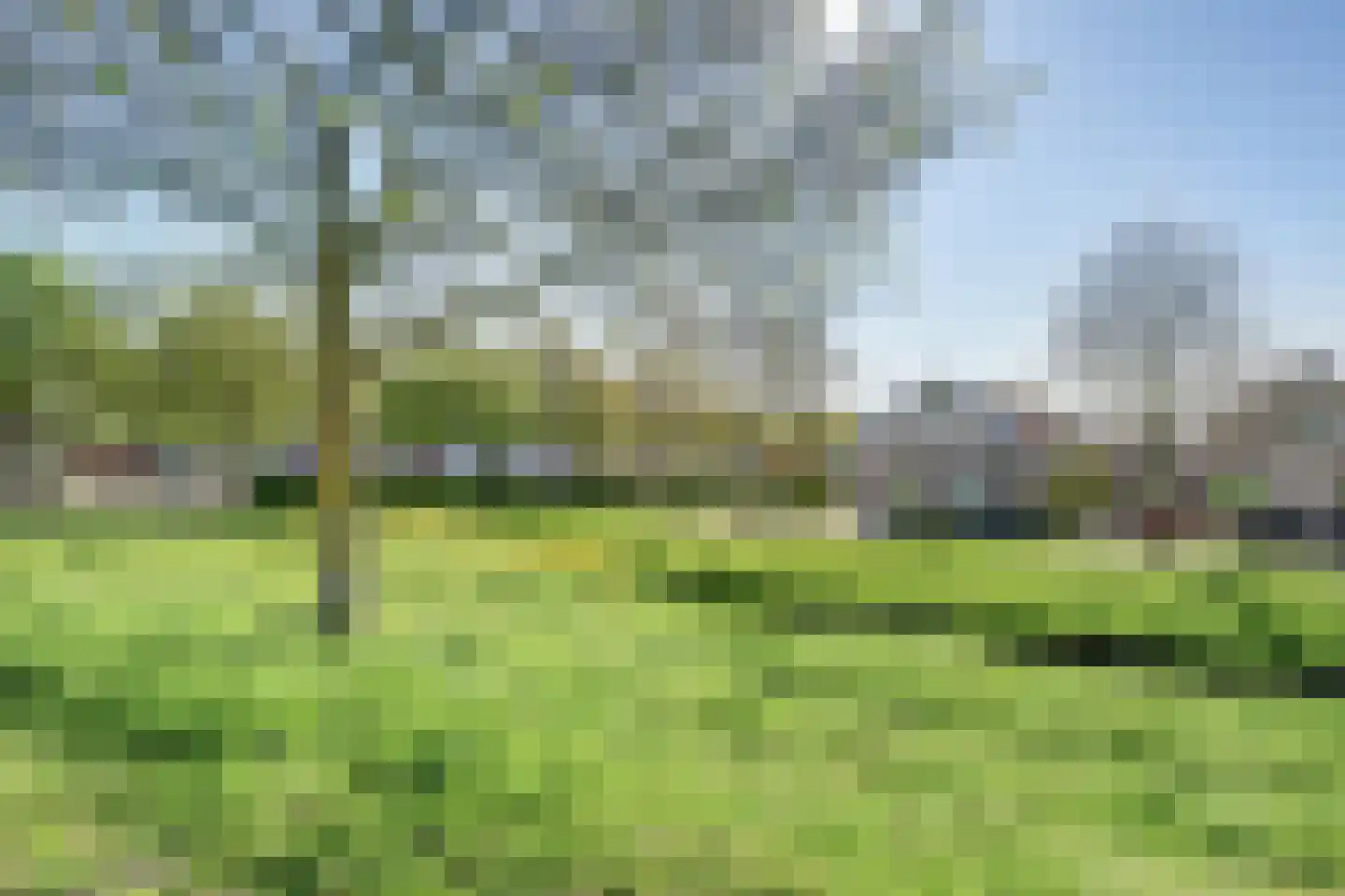 Weelsedijk 10 Strijen thumbnail 51