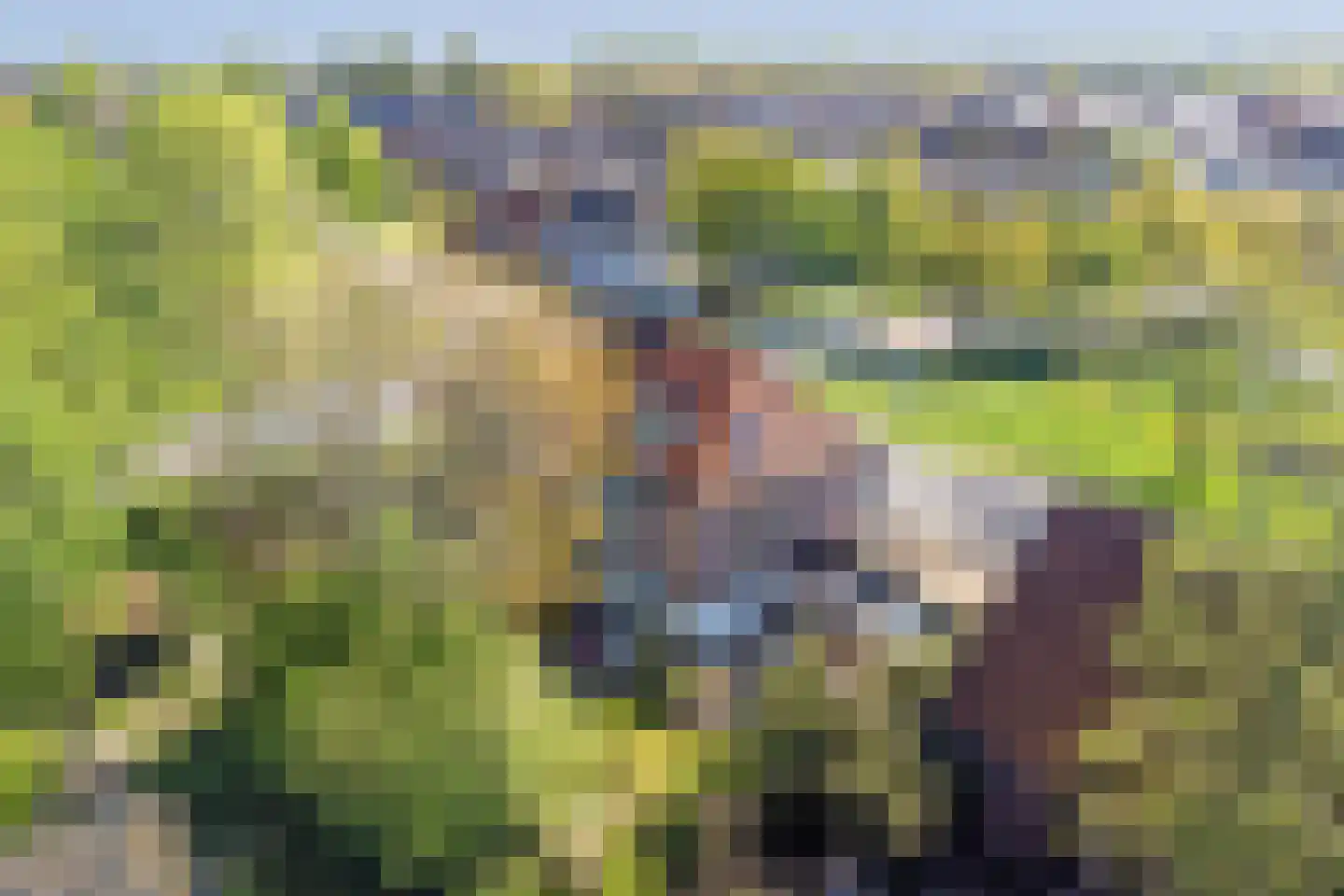 Weelsedijk 10 Strijen thumbnail 53