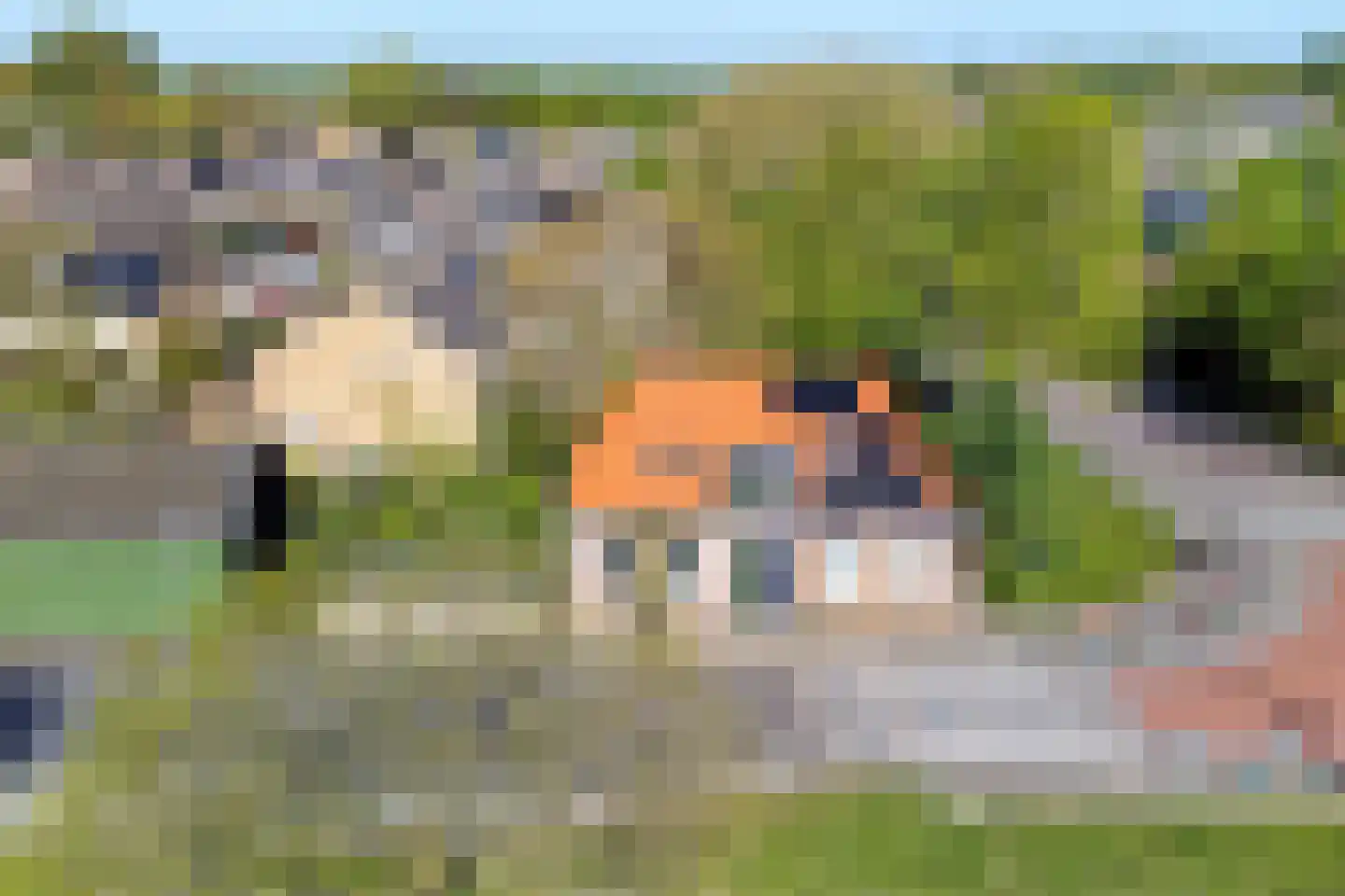 Weelsedijk 10 Strijen thumbnail 55