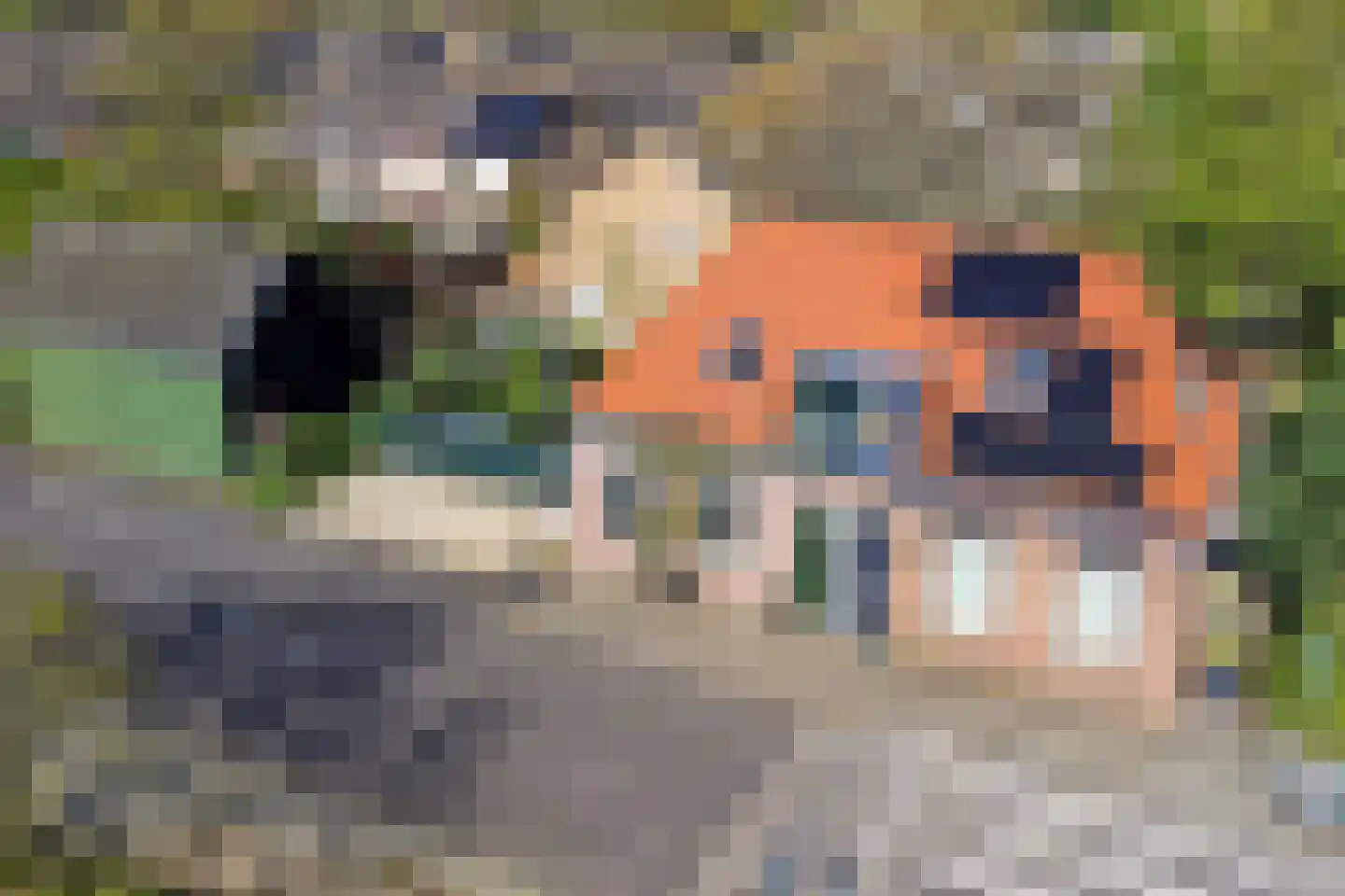 Weelsedijk 10 Strijen thumbnail 56