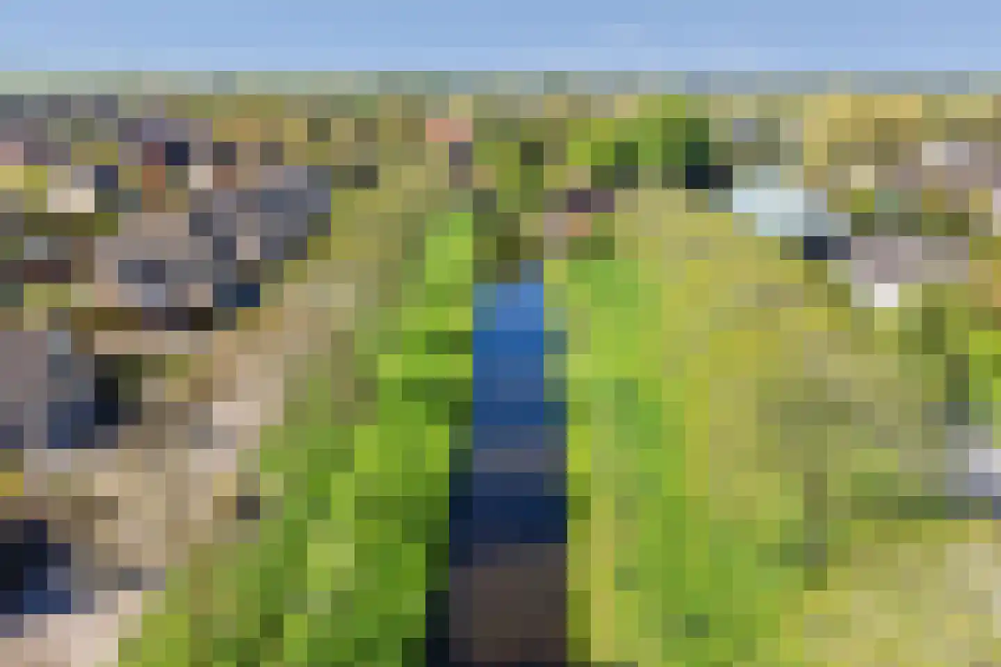 Weelsedijk 10 Strijen thumbnail 57