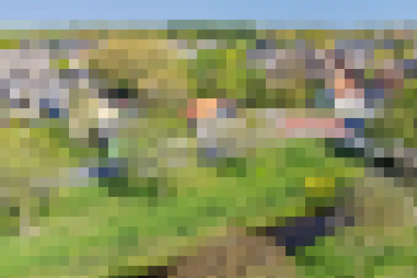 Weelsedijk 10 Strijen thumbnail 58