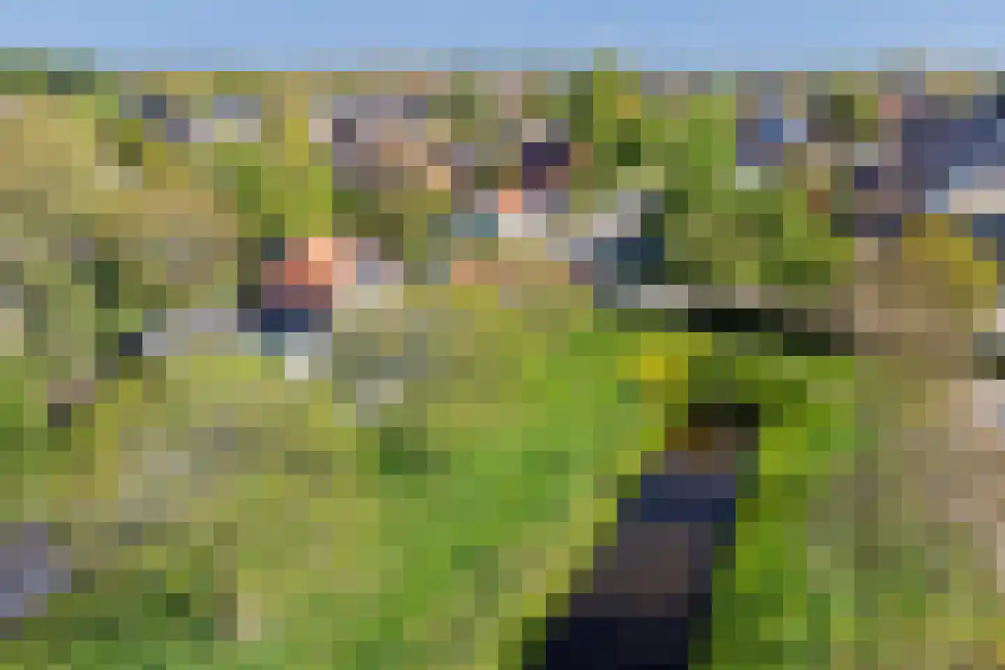 Weelsedijk 10 Strijen thumbnail 59