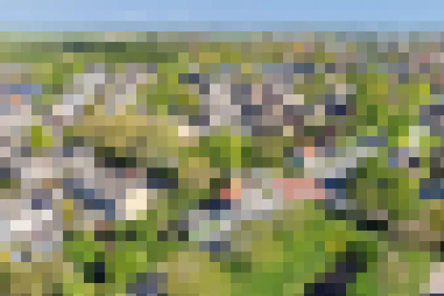Weelsedijk 10 Strijen thumbnail 60