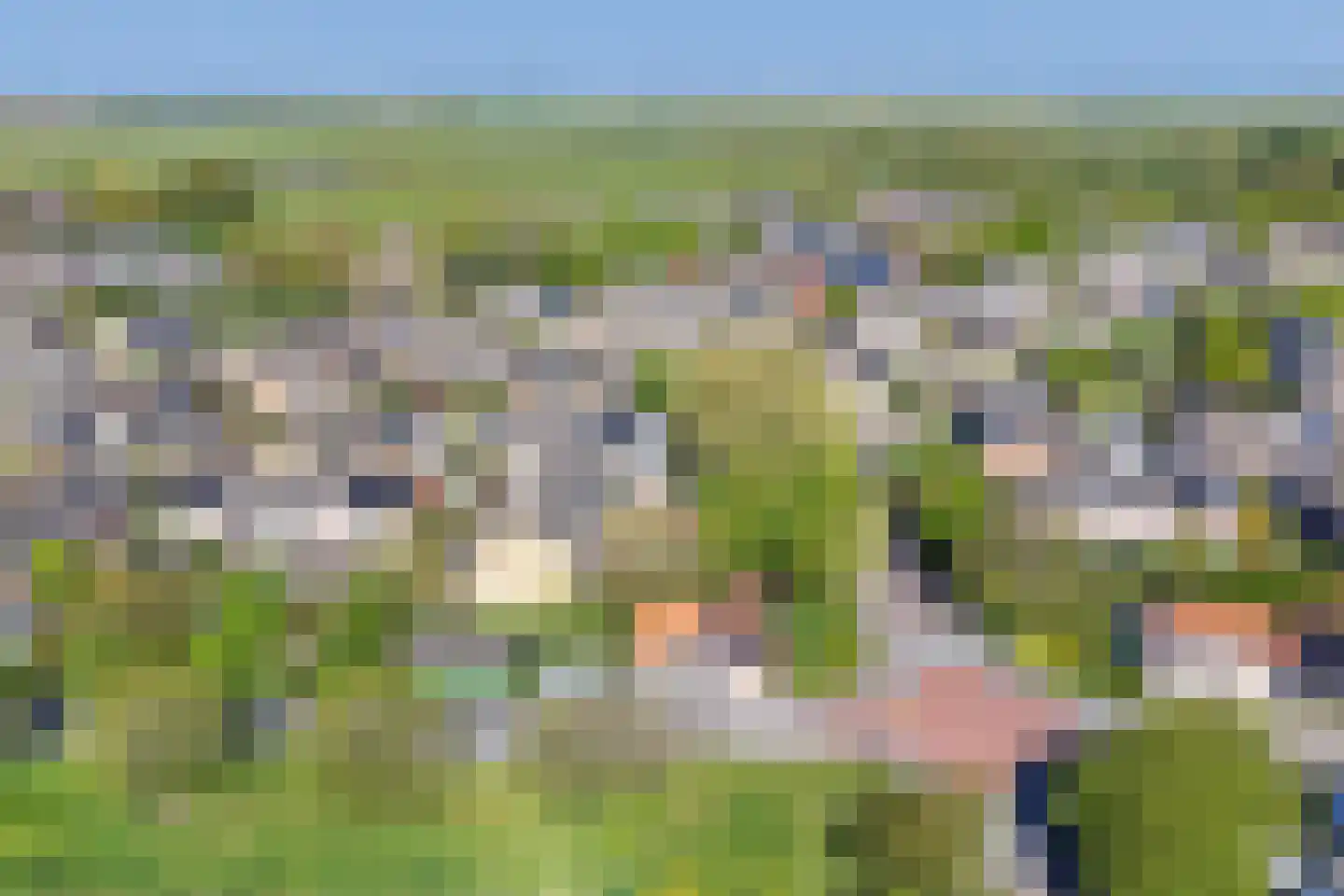 Weelsedijk 10 Strijen thumbnail 61