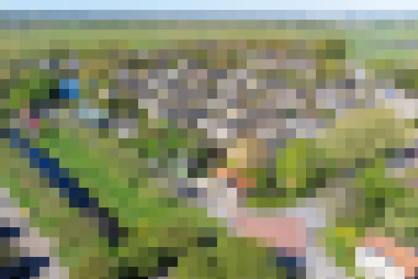 Weelsedijk 10 Strijen thumbnail 62