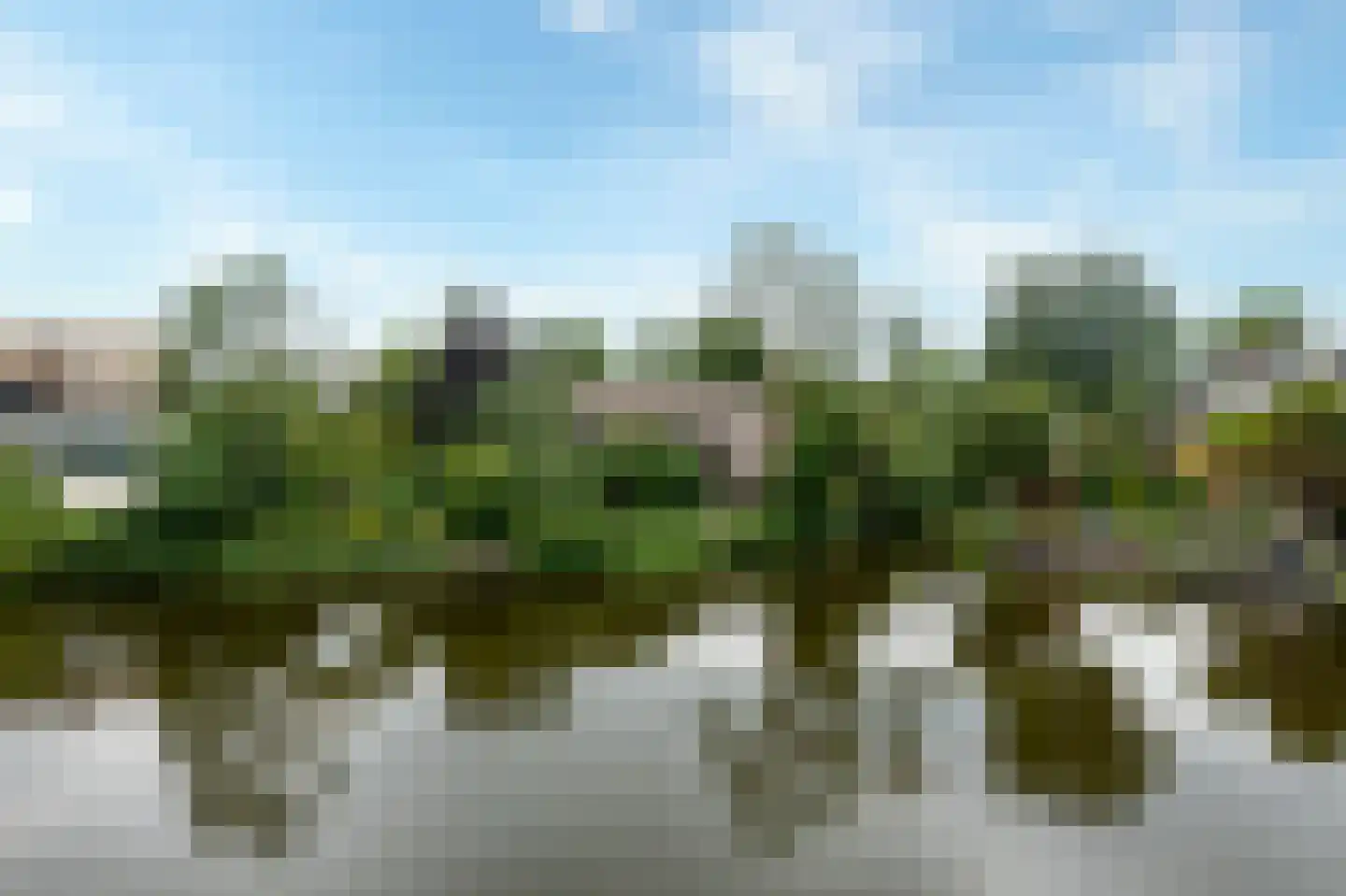 Weelsedijk 26 Strijen thumbnail 10