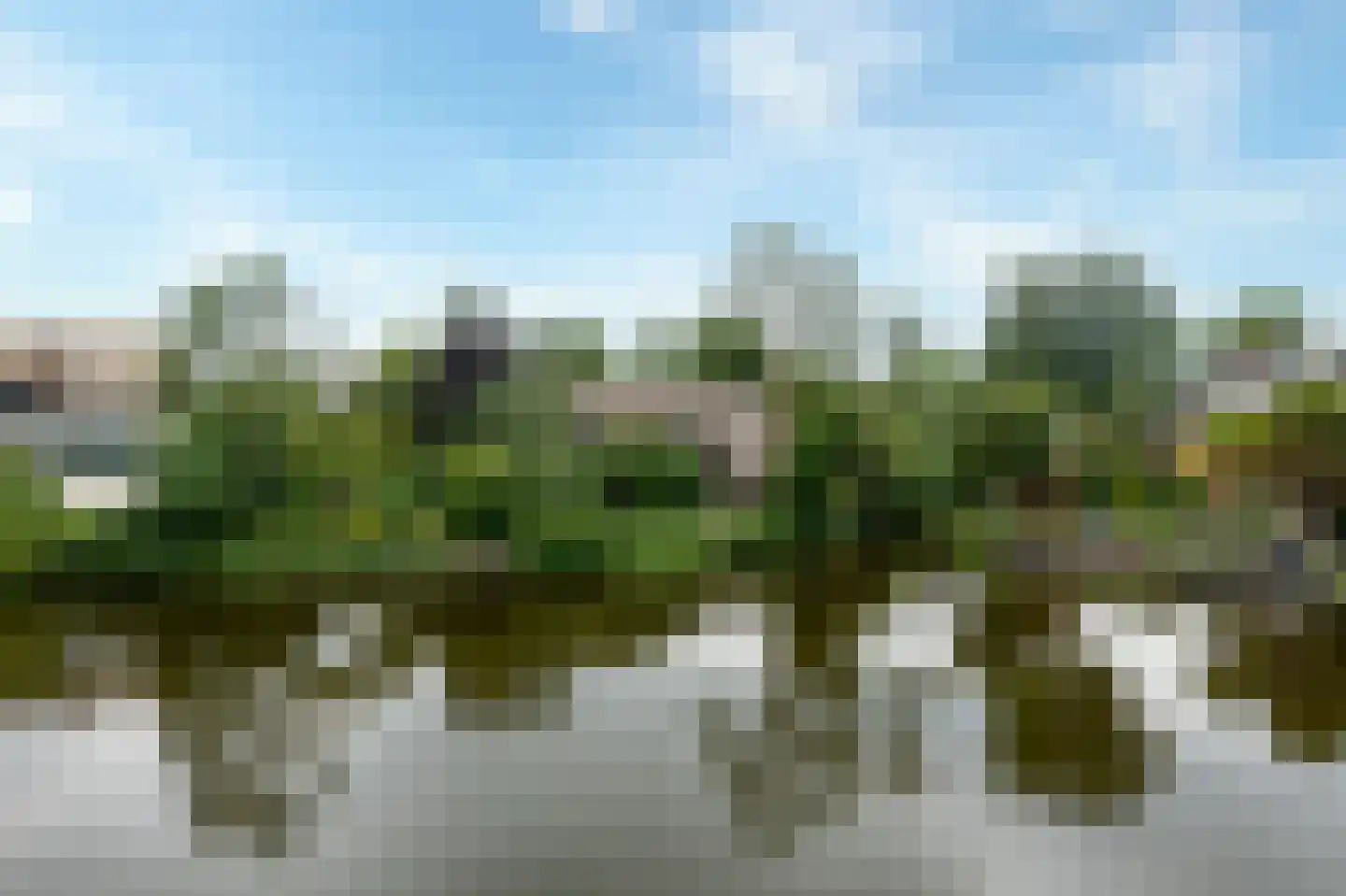 Weelsedijk 26 Strijen thumbnail 11