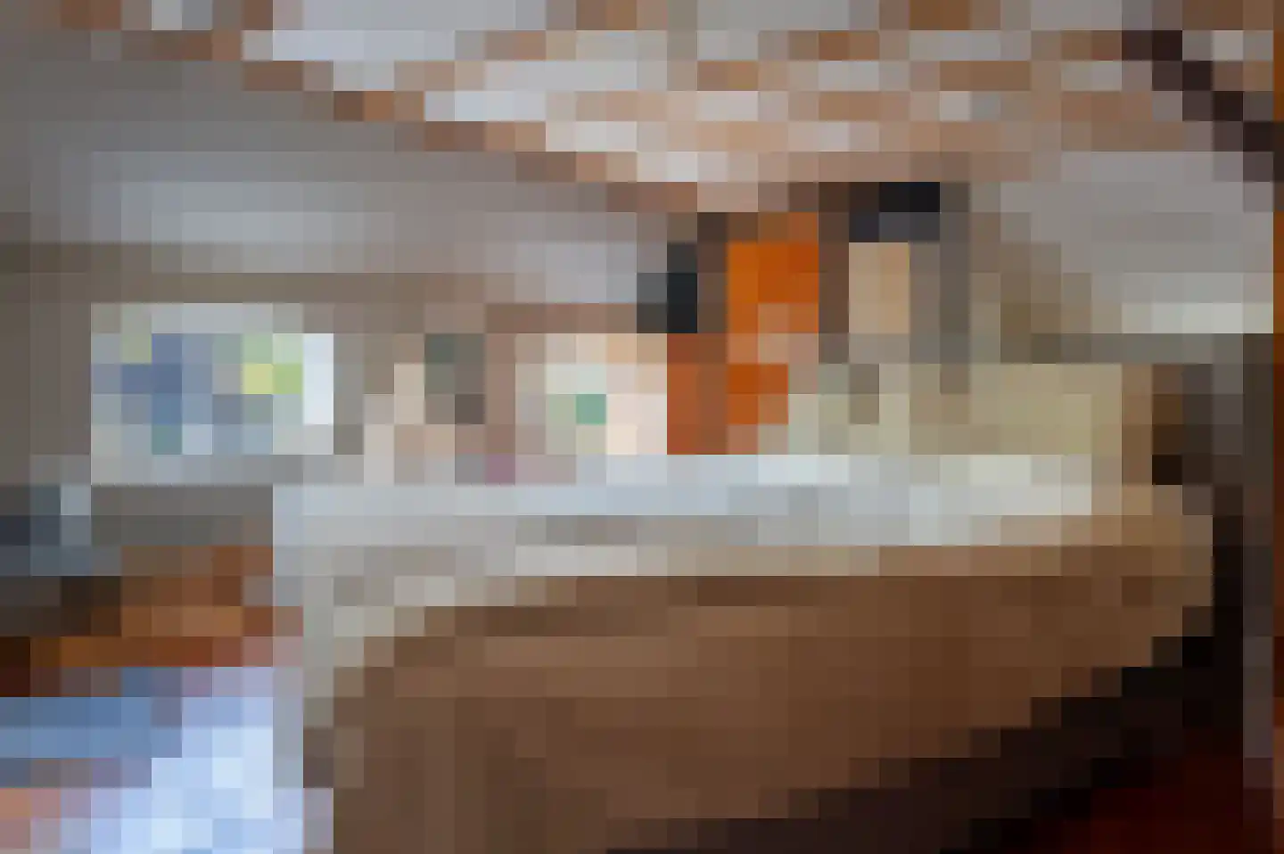 Weelsedijk 26 Strijen thumbnail 20