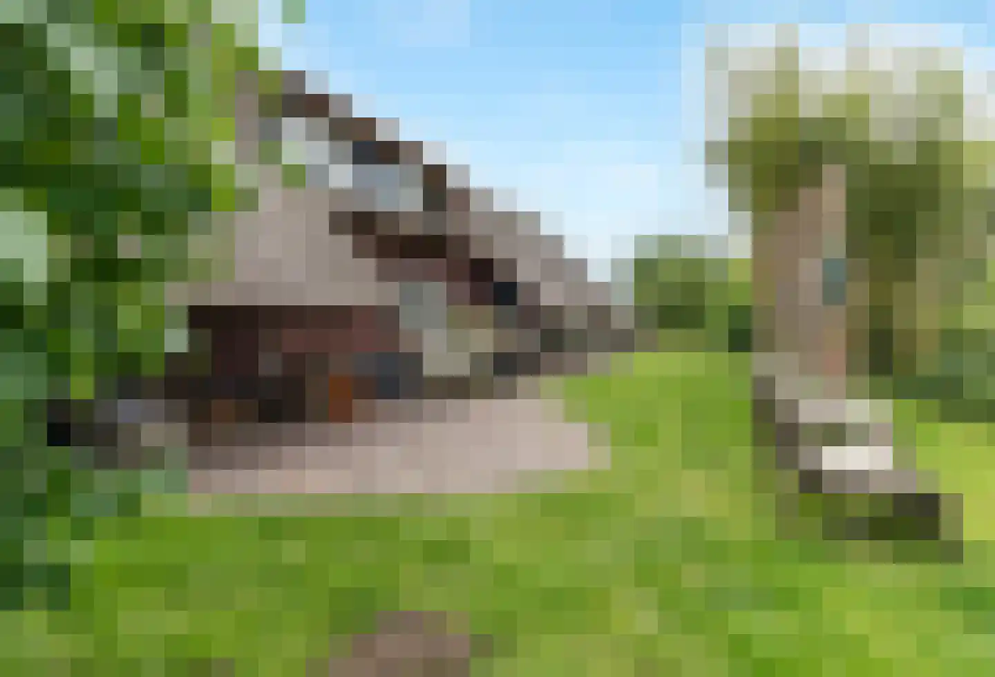 Weelsedijk 26 Strijen thumbnail 32
