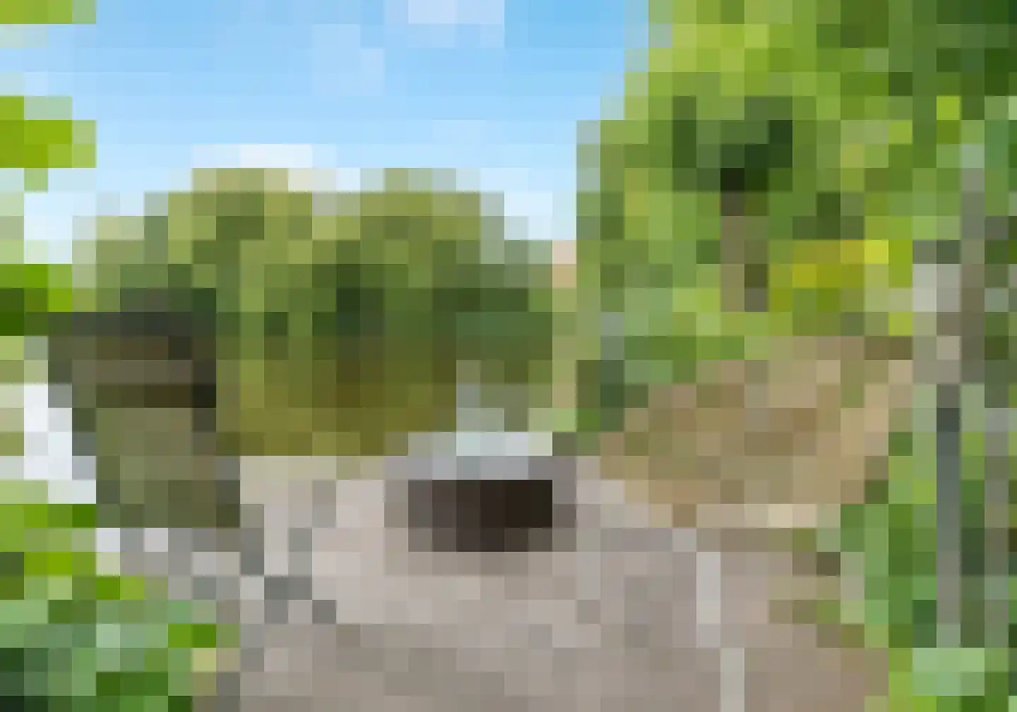 Weelsedijk 26 Strijen thumbnail 37