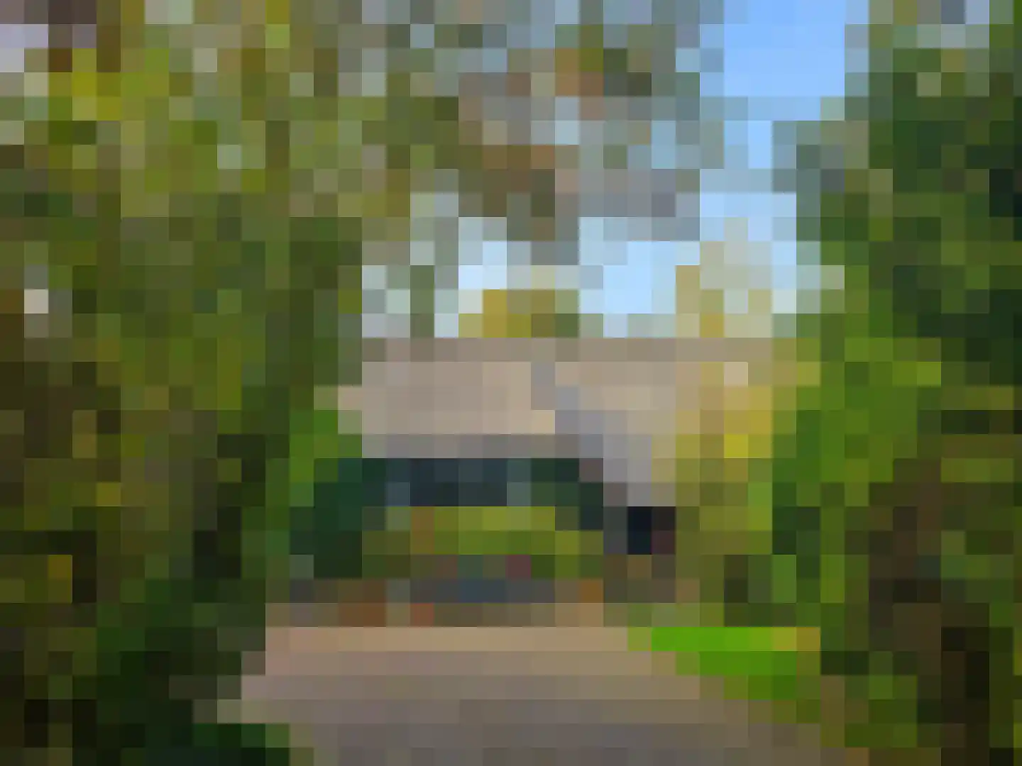Weelsedijk 26 Strijen thumbnail 43