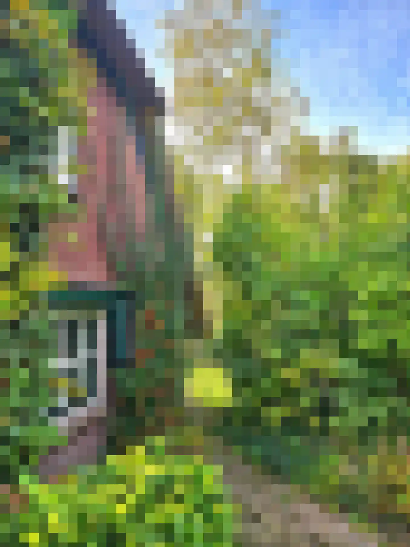Weelsedijk 26 Strijen thumbnail 44