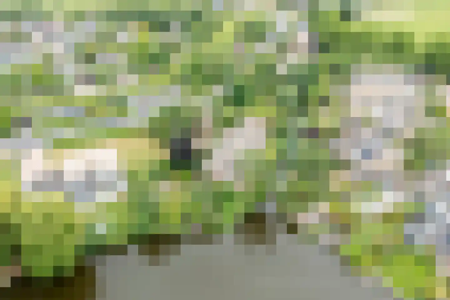 Weelsedijk 26 Strijen thumbnail 5