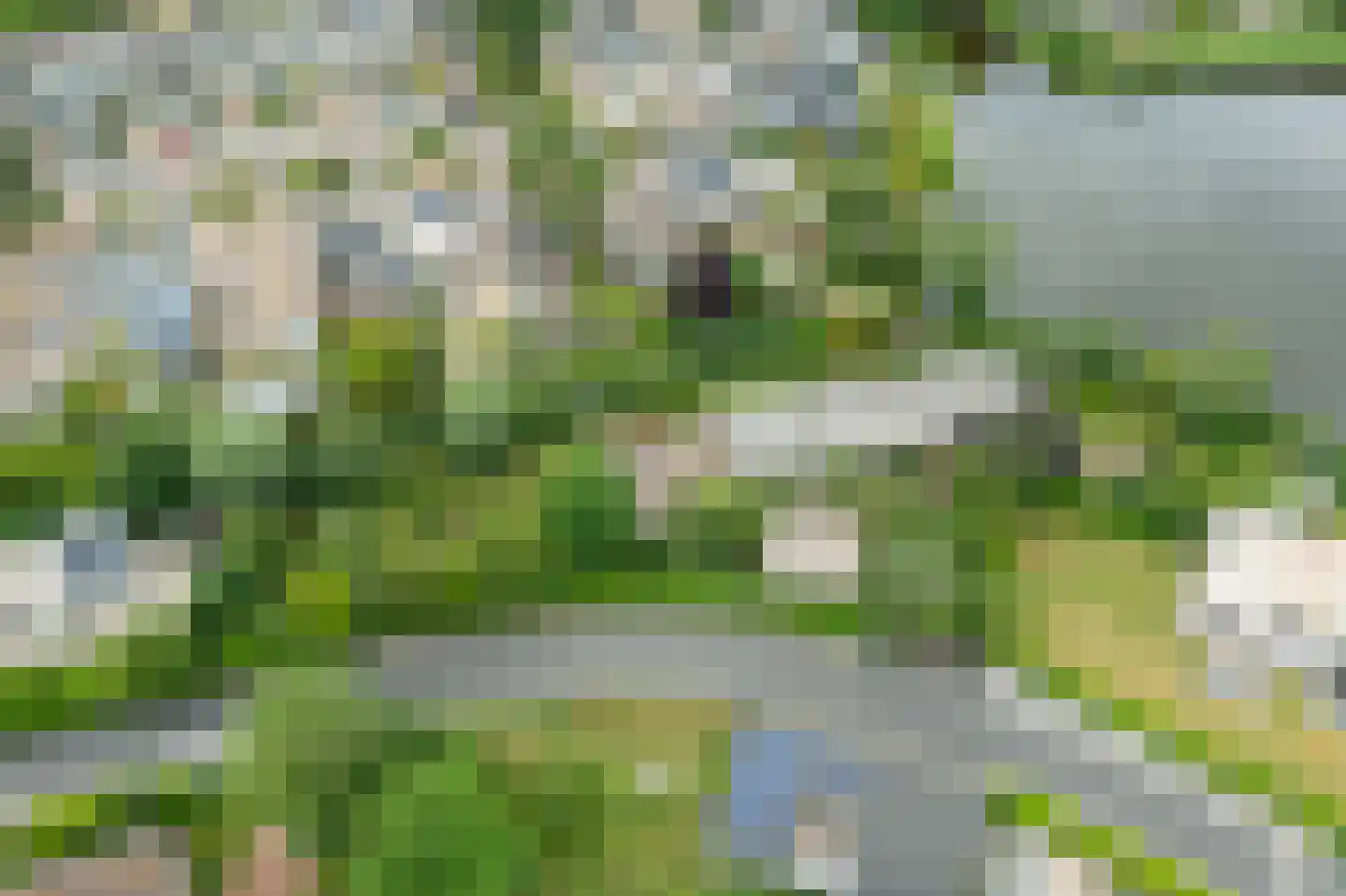 Weelsedijk 26 Strijen thumbnail 7