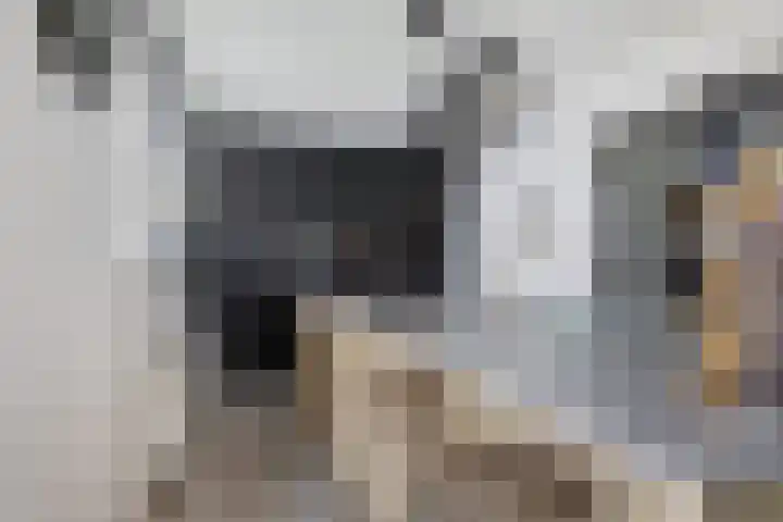 Weelsedijk 46 Strijen thumbnail 4