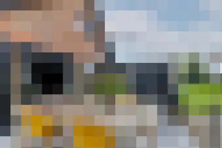 Weelsedijk 46 Strijen thumbnail 47