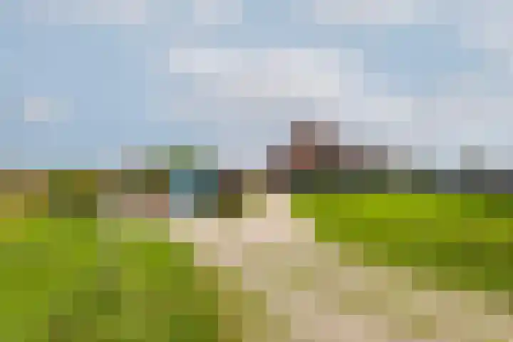 Weelsedijk 46 Strijen thumbnail 64