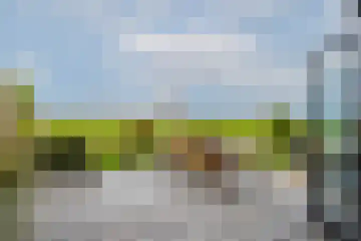 Weelsedijk 46 Strijen thumbnail 7