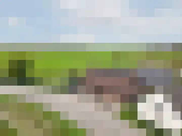 Weelsedijk 46 Strijen thumbnail 9