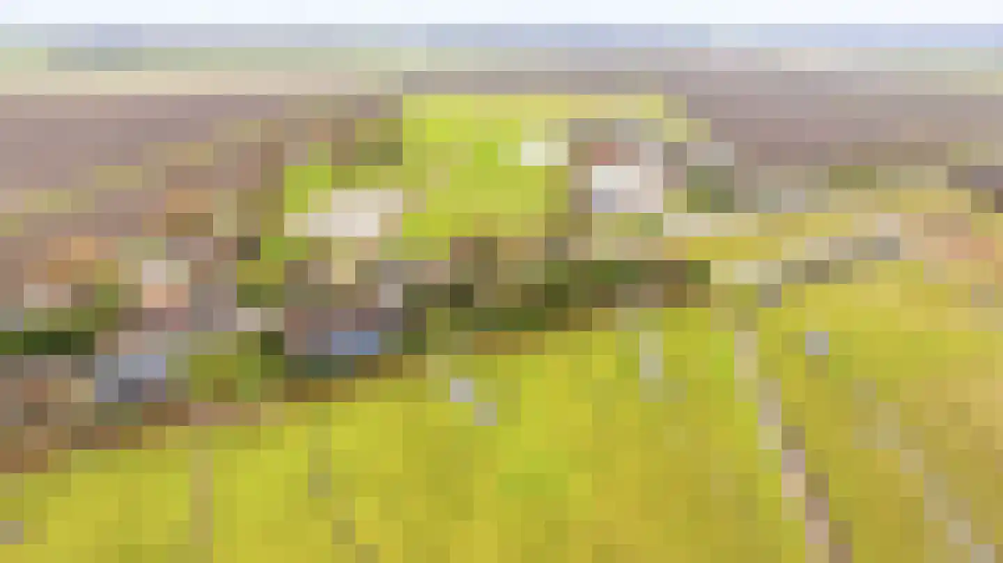 Weelsedijk 54 Strijen