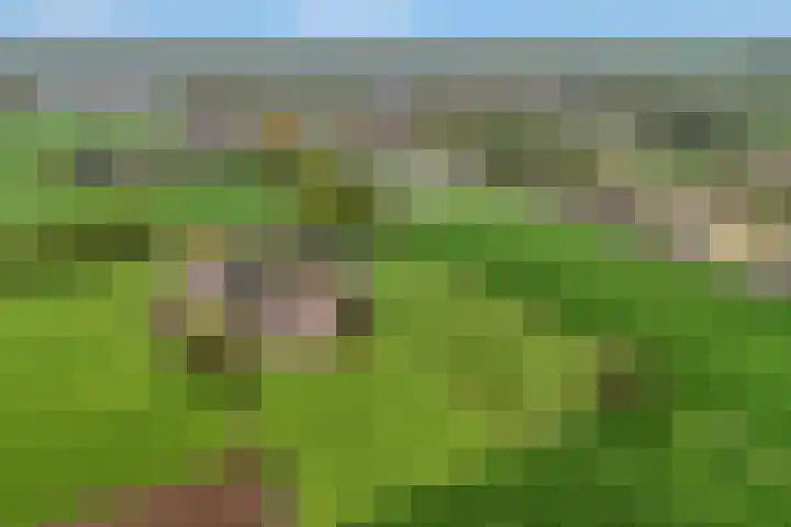 Weelsedijk 54 Strijen thumbnail 14