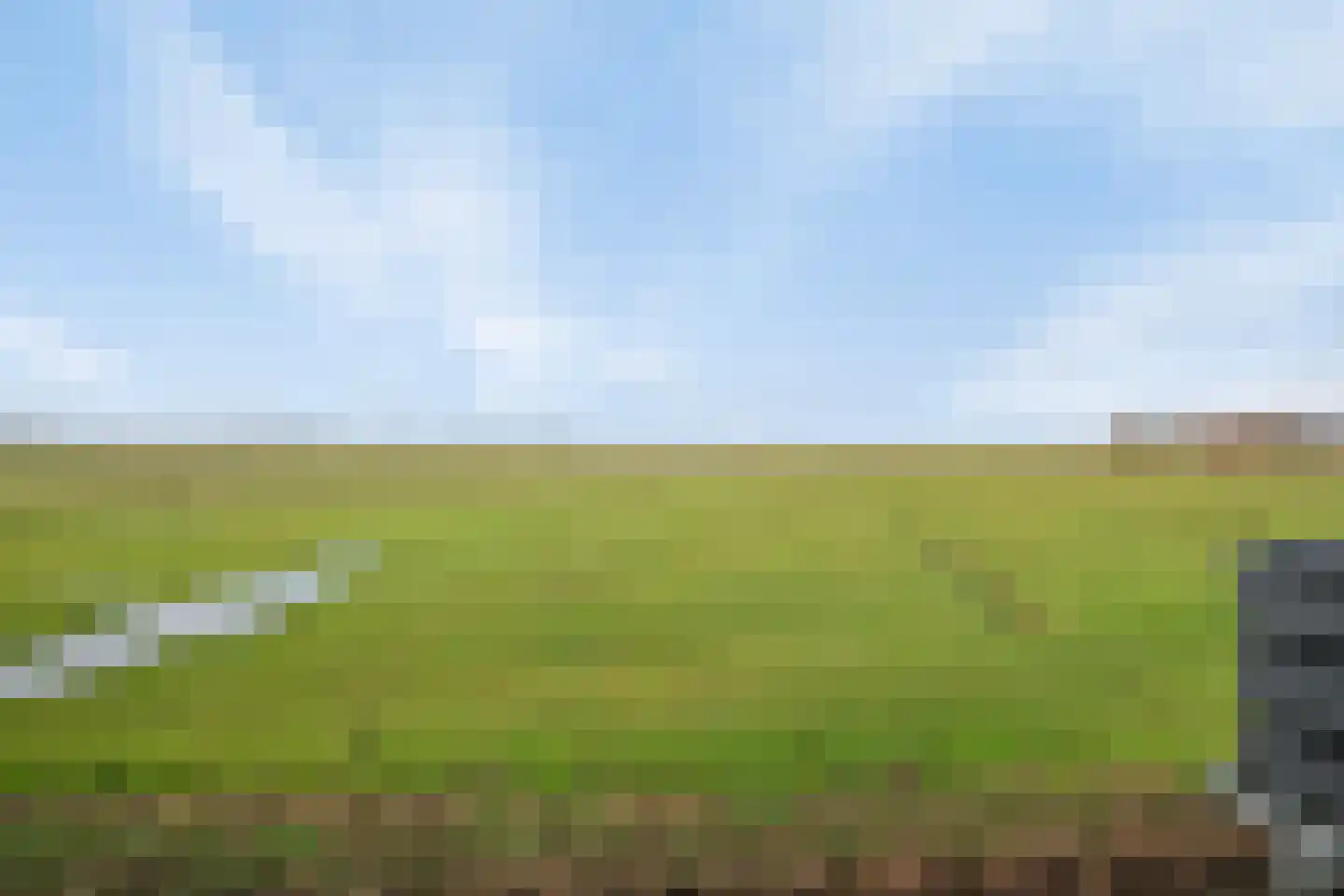 Weelsedijk 54 Strijen thumbnail 18