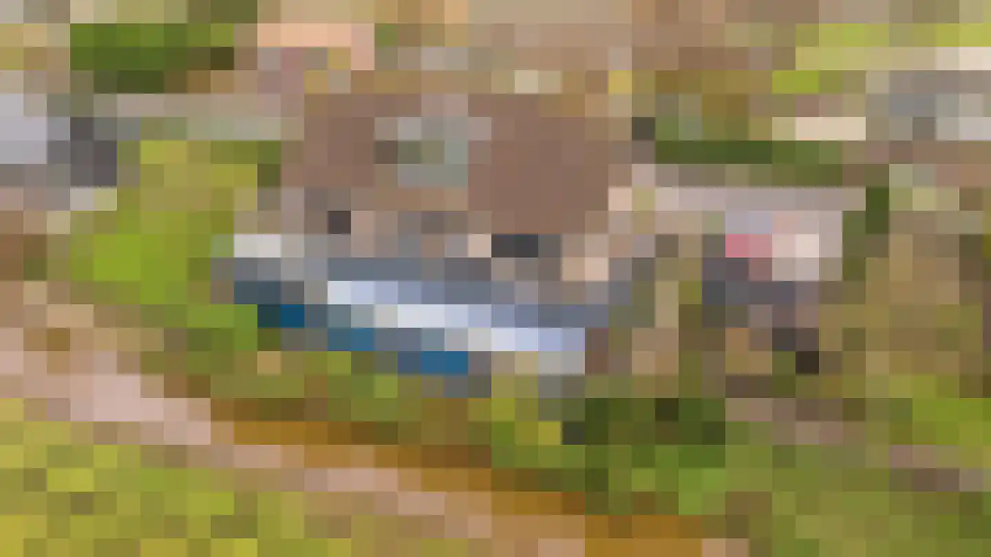 Weelsedijk 54 Strijen foto 2