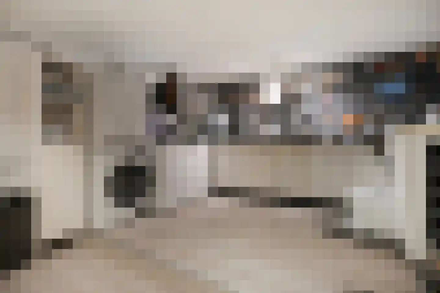 Weelsedijk 54 Strijen thumbnail 35