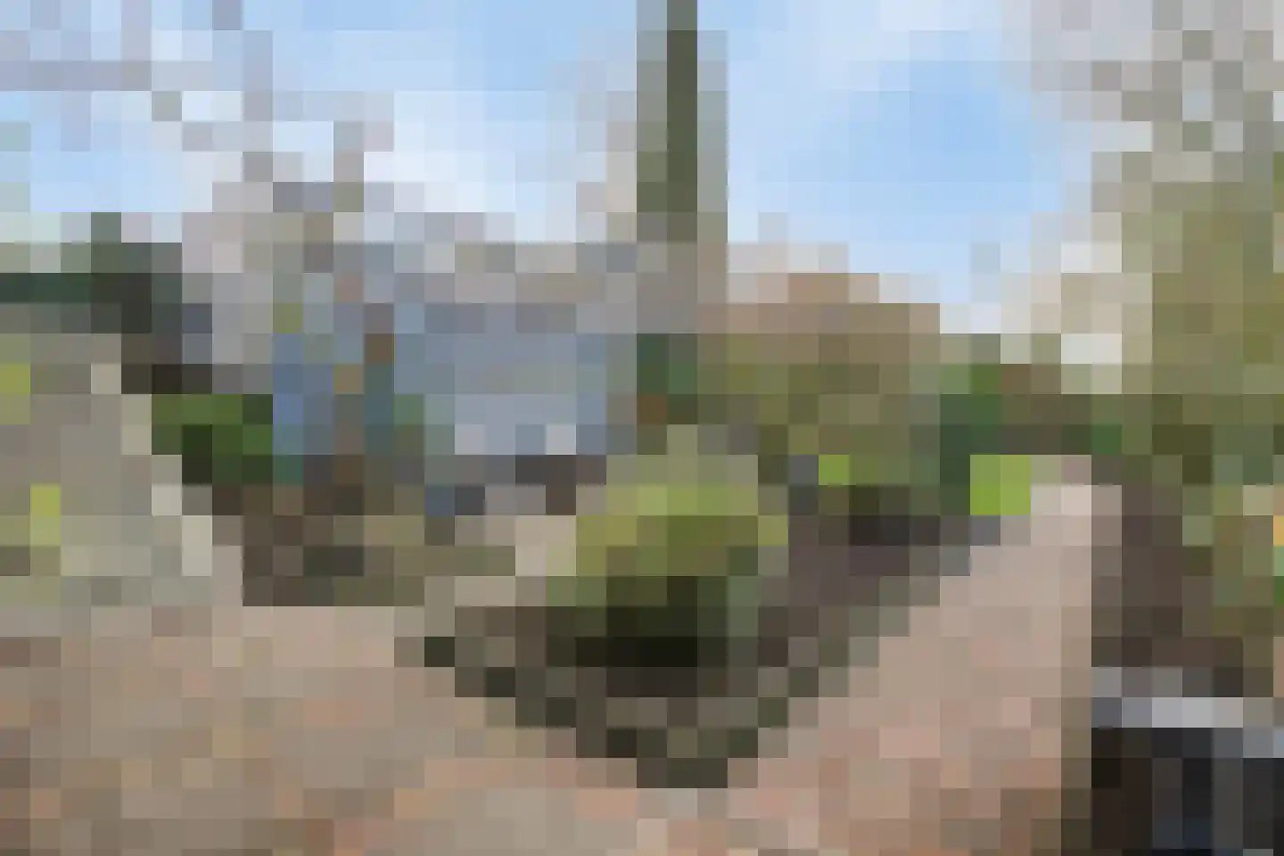 Weelsedijk 54 Strijen thumbnail 38