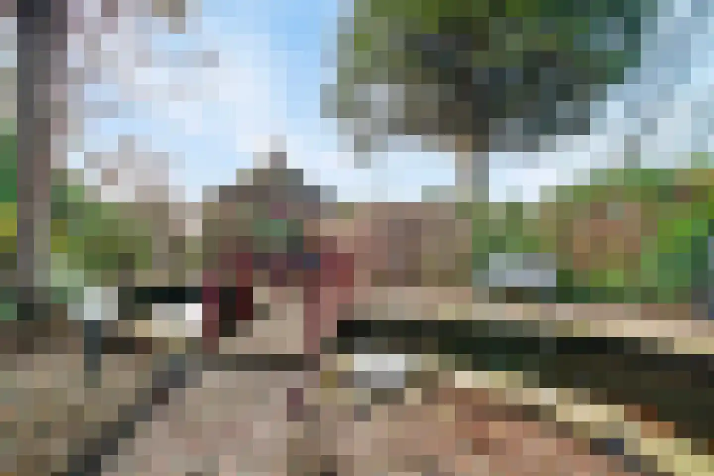 Weelsedijk 54 Strijen thumbnail 42