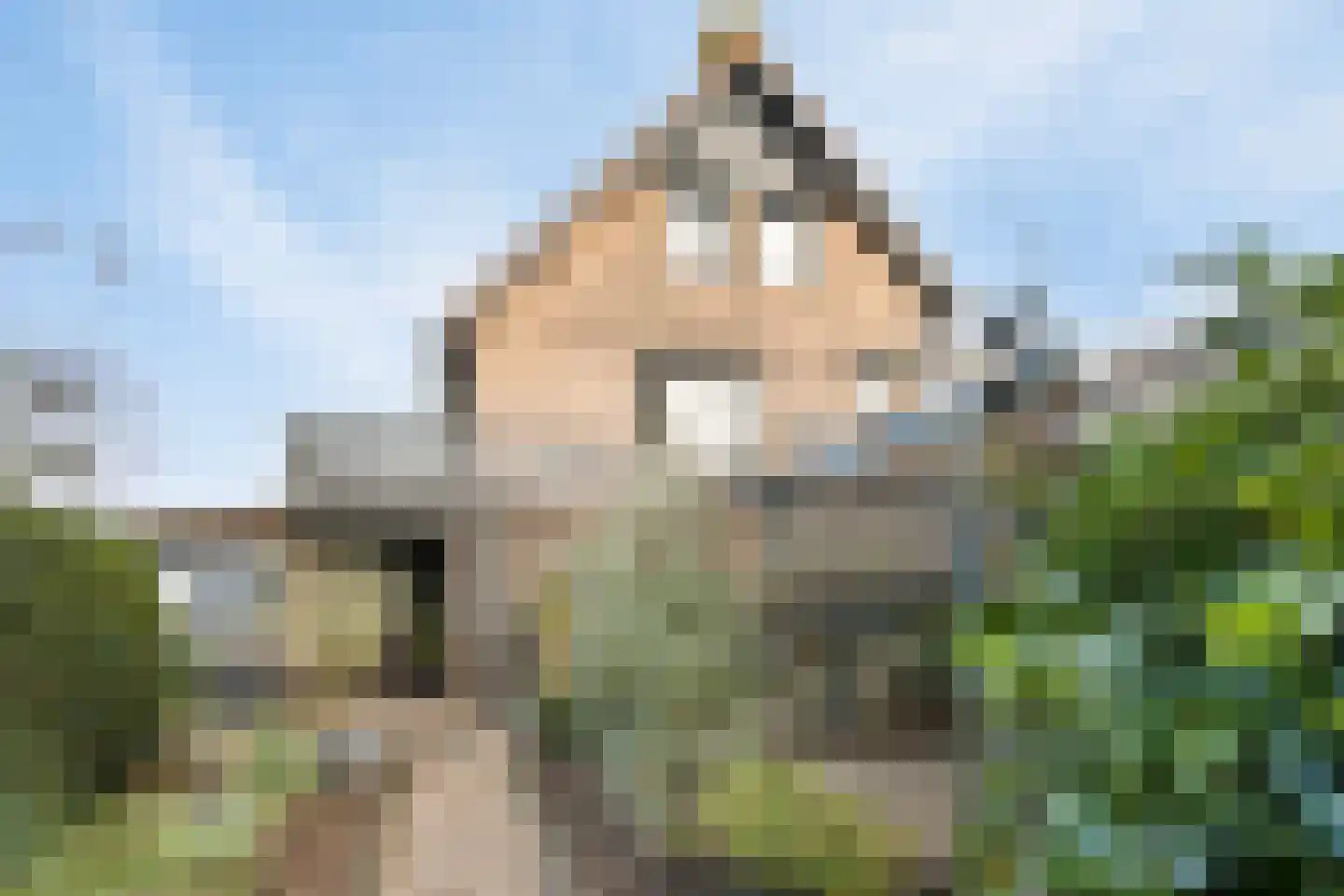 Weelsedijk 54 Strijen thumbnail 44