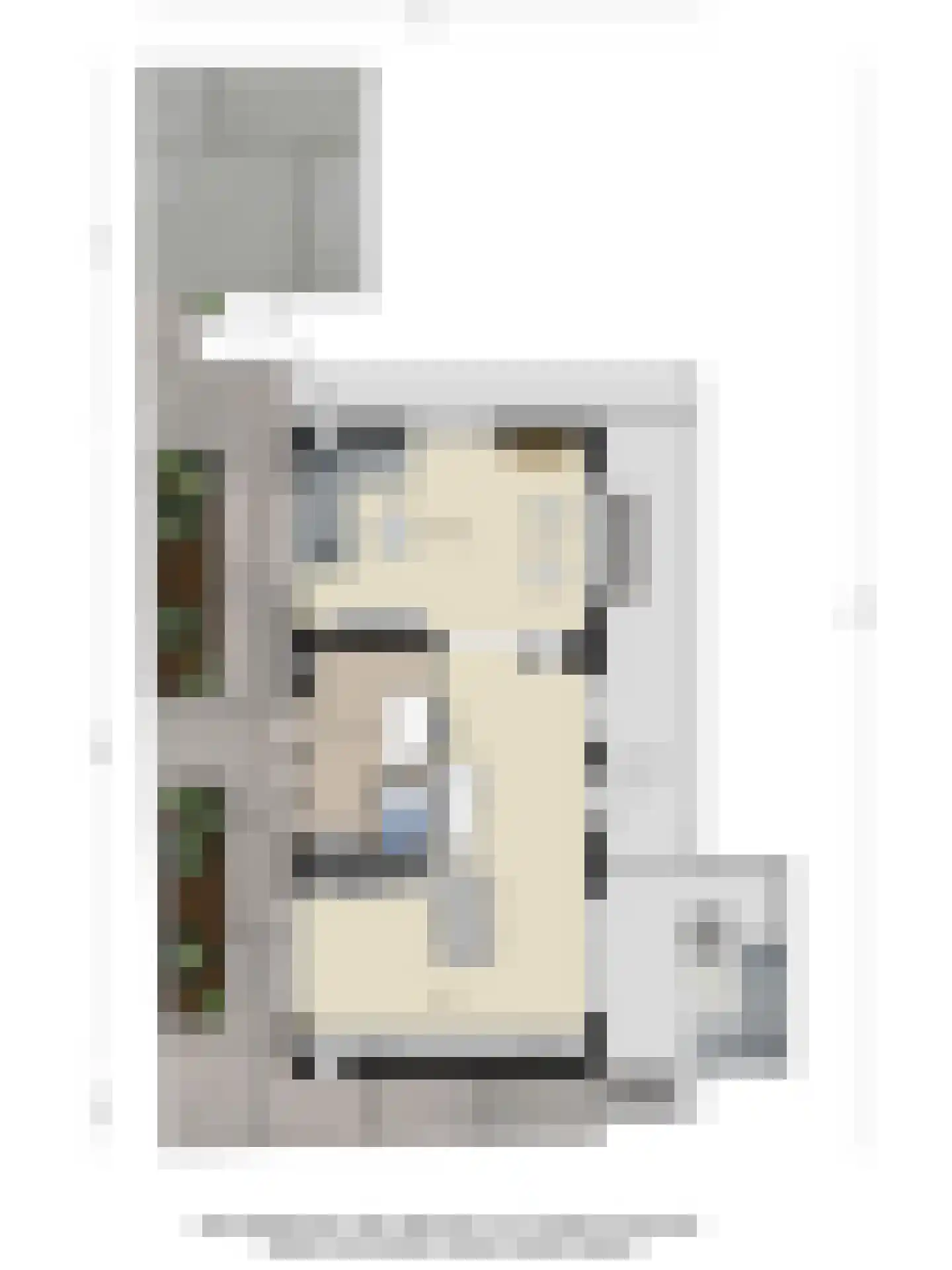 Weelsedijk 54 Strijen thumbnail 49