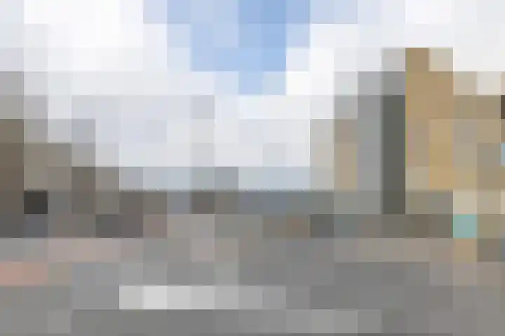 Weelsedijk 54 Strijen thumbnail 5