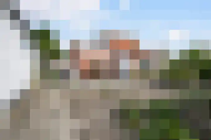 Weelweg 1 Sint-Maartensdijk thumbnail 30